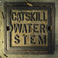 Catskill Water Stem 