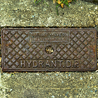 Hydrant  D P