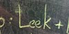 Leek