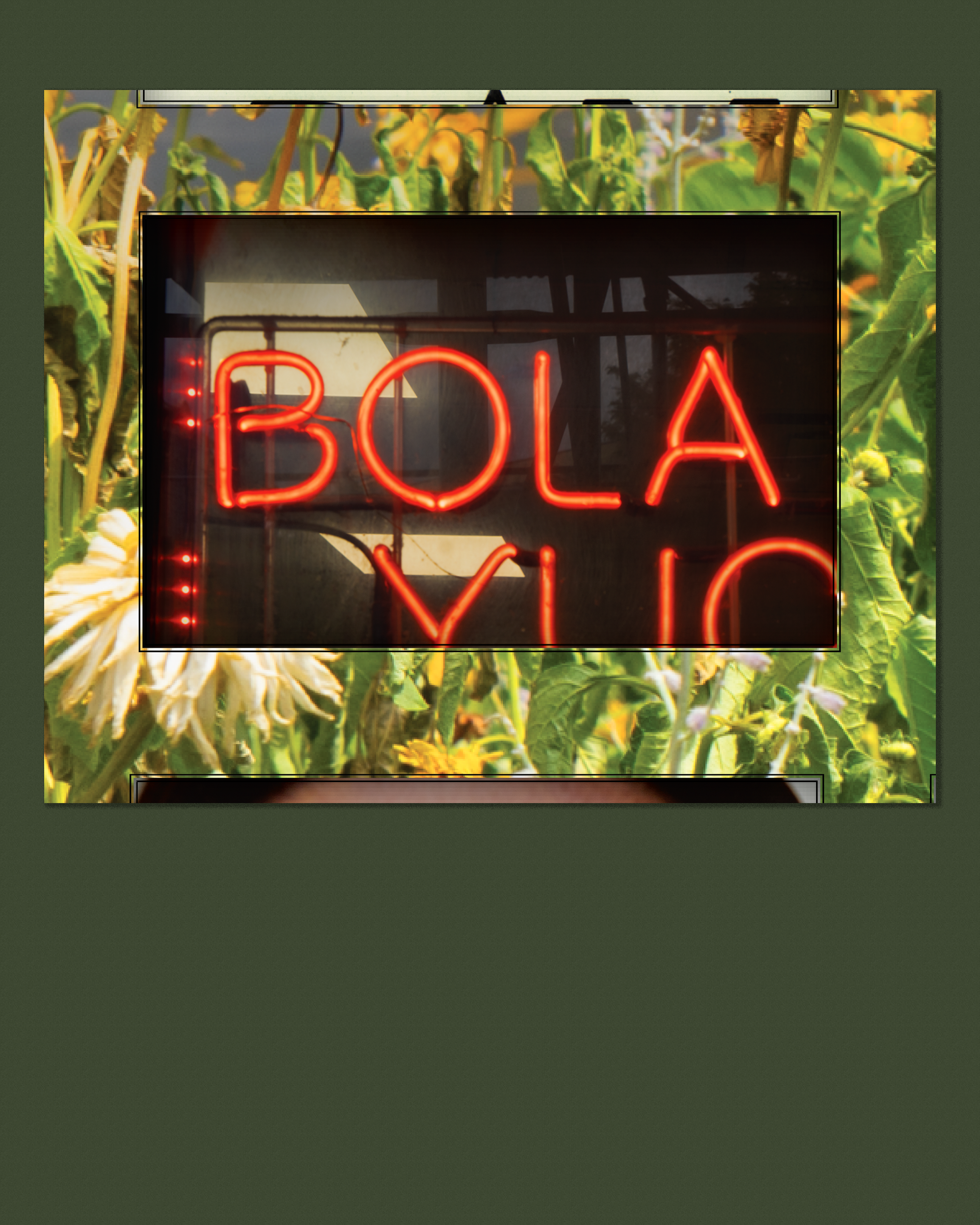 Bola