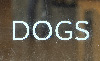 DOGS