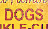DOGS