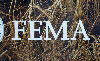 FEMA