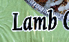 LAMB