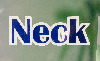 NECK