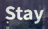 STAY