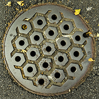 Honeycomb with 19 vent holes