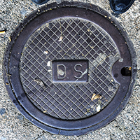 D.S.