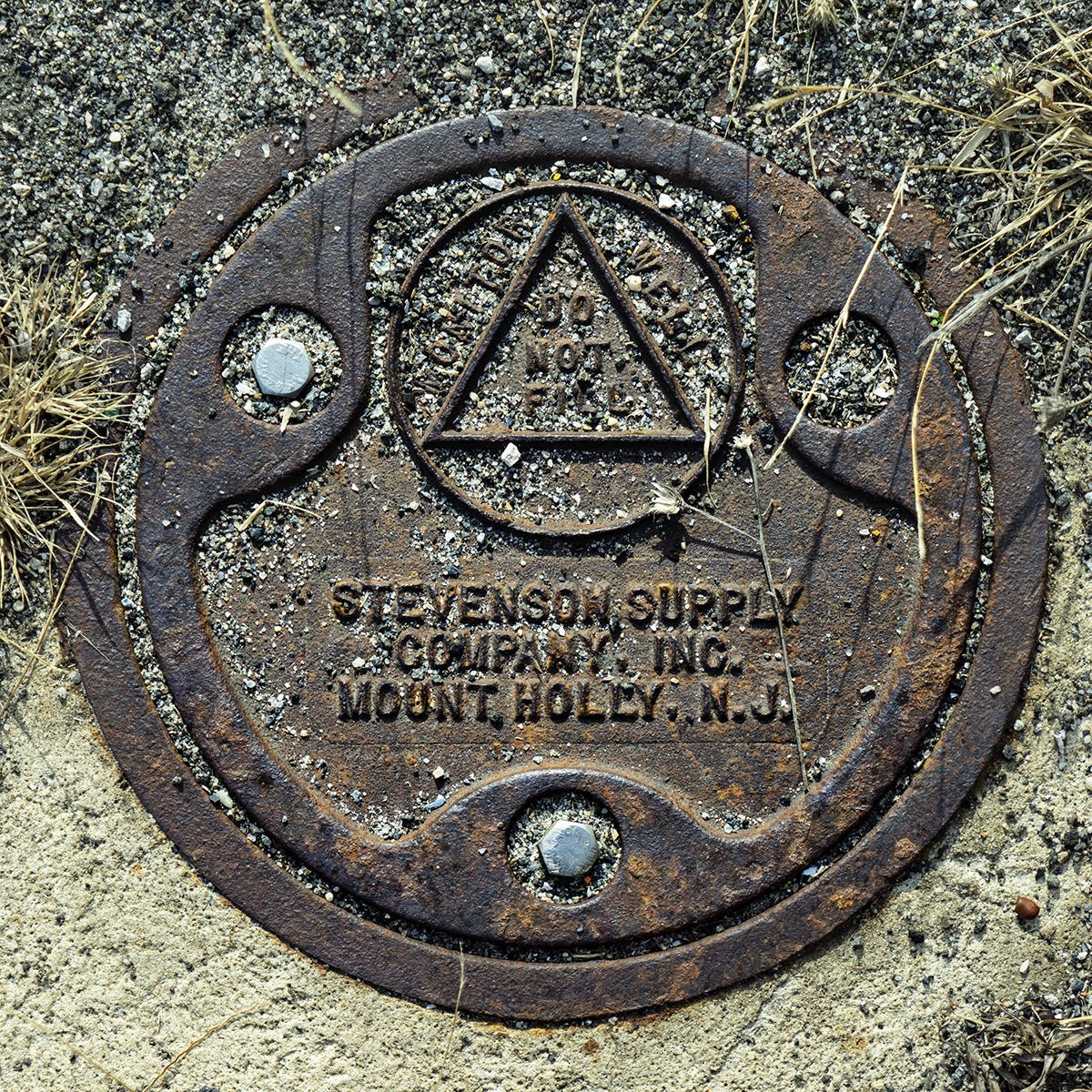 larger image