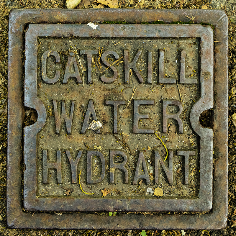 related image 3