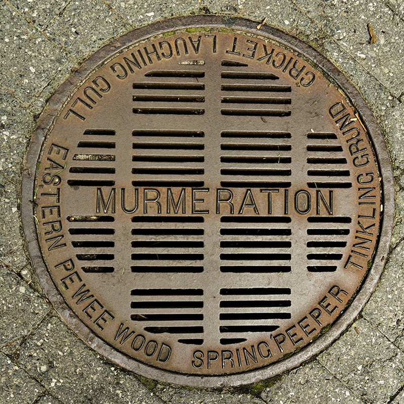 related image 3