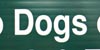 Dogs