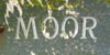 Moor